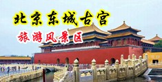 肏小屄视频网站中国北京-东城古宫旅游风景区